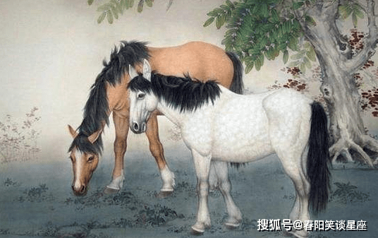 欲钱看马槽边上的苍蝇代表什么生肖详细解答、解释与落实、精准解答解释落实