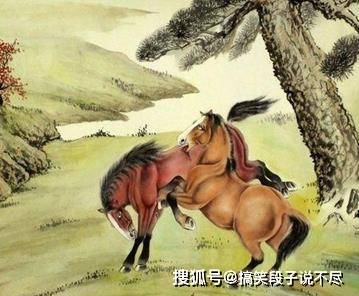 非好汉唔敢过岭钻角尖专打二数是什么生肖的全面释义、解释与落实、前沿解答解释落实