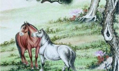 欲钱看马槽边上的苍蝇代表什么生肖详细解答、解释与落实、精准解答解释落实