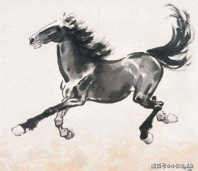欲钱看马槽边上的苍蝇代表什么生肖详细解答、解释与落实、精准解答解释落实